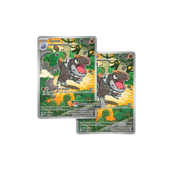 Perfect Order Elite Trainer Box