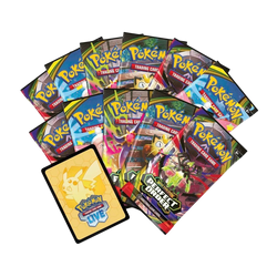 Perfect Order Elite Trainer Box