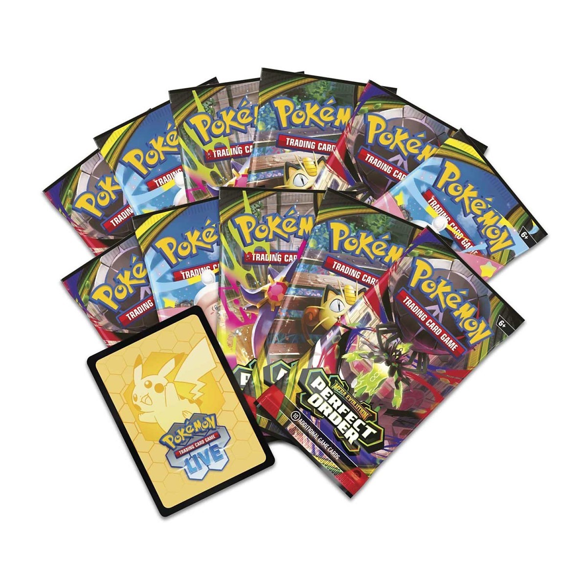 Perfect Order Elite Trainer Box